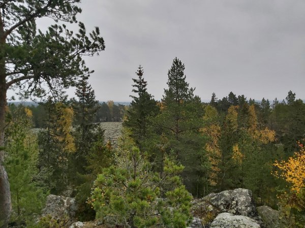 Vårdberget - Bild 2