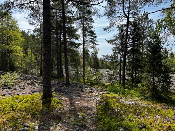 Vårdkasmalen - Bild 3