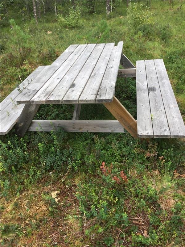 Vindskydd åtjärn norra - Bild 2