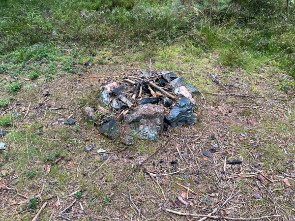 Vindskydd i skogen - Bild 2