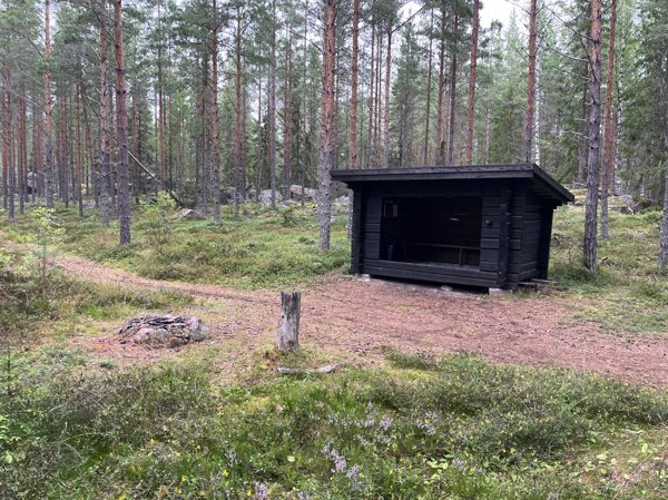 Vindskydd i skogen - Huvudbild