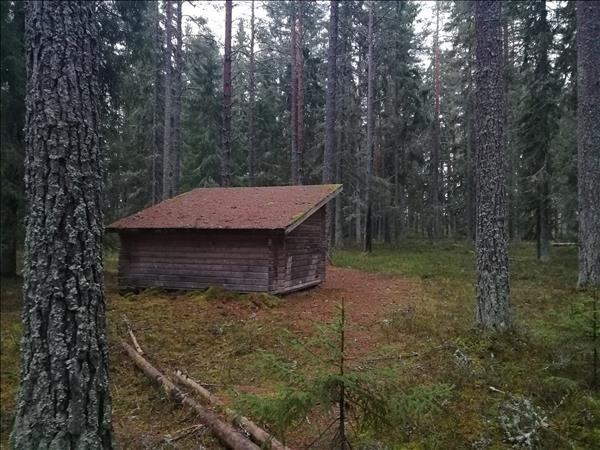 Vindskyddet i skogen - Bild 1