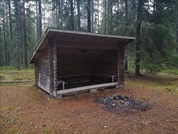 Vindskyddet i skogen - Bild 2