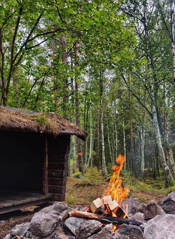 Vindskyddet nära Grimstahamn - Bild 1
